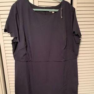 NWT Loft Wrap Dress